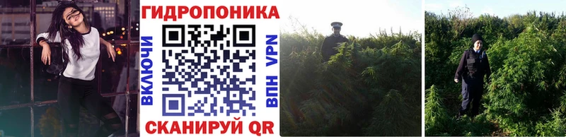 закладка  Ревда  Конопля AK-47 